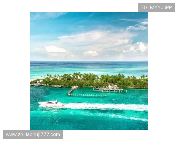 海岛主题老虎机官网首页入口带你畅游梦幻海岛世界享受极致的娱乐盛宴