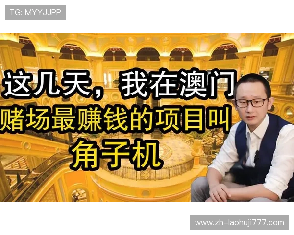 澳门角子机玩法图解全面介绍，涵盖经典与新型角子机的玩法要点