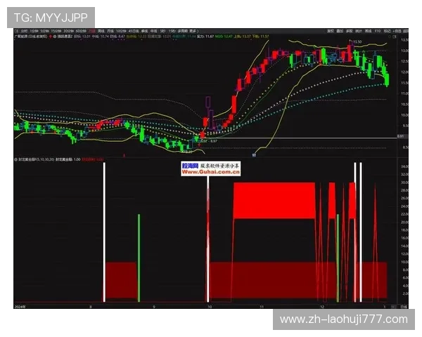 提升三鲤聚财玩法效率的实用技巧与操作建议